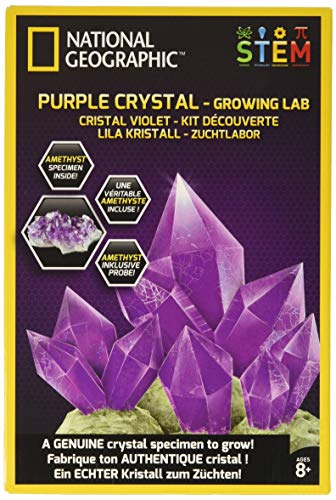 ナショナルジオグラフィック 知育玩具 科学 NATIONAL GEOGRAPHIC Purple Crystal Growing Lab - D