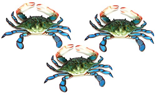 壁飾り インテリア タペストリー Charlotte International 6 inch Maryland Blue Crab Set of 3 Beach