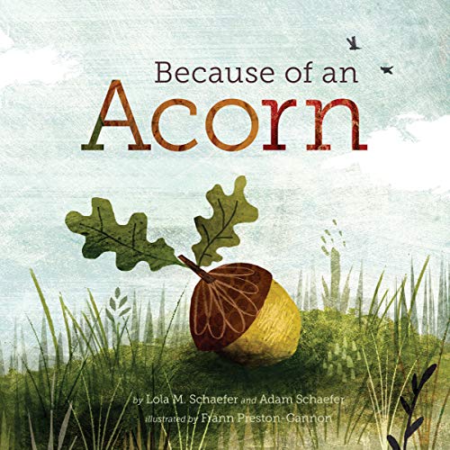海外製絵本 知育 英語 Because of an Acorn: (Nature Autumn Books for Children, Picture Books about Acor