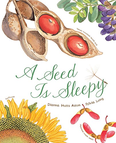 海外製絵本 知育 英語 A Seed Is Sleepy: (Nature Books for Kids, Environmental Science for Kids) (Sylvi