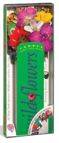 海外製絵本 知育 英語 Fandex Family Field Guides: Wildflowers