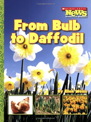 海外製絵本 知育 英語 From Bulb to Daffodil (Scholastic News Nonfiction Readers)