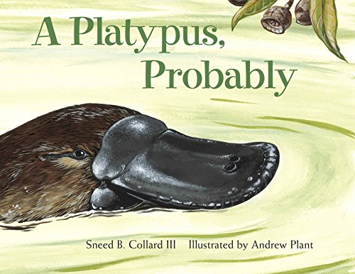 海外製絵本 知育 英語 A Platypus, Probably