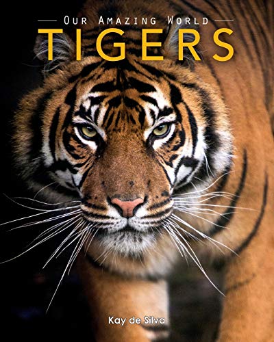 海外製絵本 知育 英語 Tigers: Amazing Pictures & Fun Facts on Animals in Nature (Our Amazing World Ser