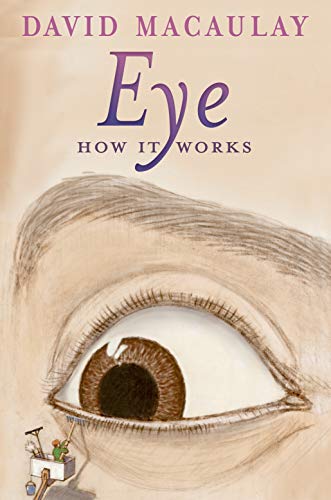 海外製絵本 知育 英語 Eye: How It Works