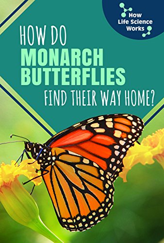 海外製絵本 知育 英語 How Do Monarch Butterflies Find Their Way Home? (How Life Science Works)