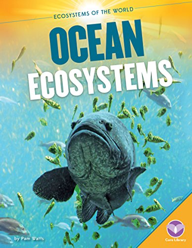 海外製絵本 知育 英語 Ocean Ecosystems (Ecosystems of the World)
