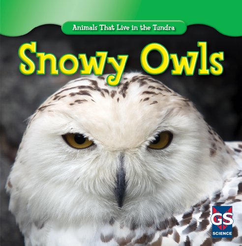 海外製絵本 知育 英語 Snowy Owls (Animals That Live in the Tundra)