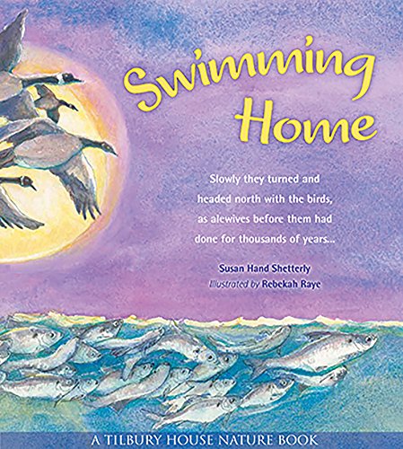 海外製絵本 知育 英語 Swimming Home (Tilbury House Nature Book)