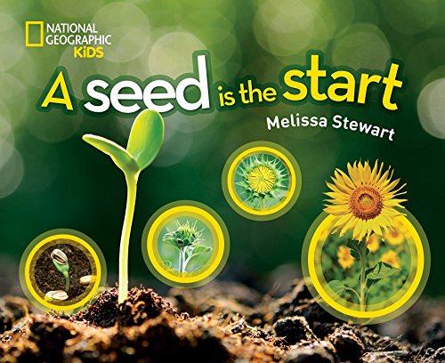 海外製絵本 知育 英語 Seed is the Start, A (National Geographic Kids)