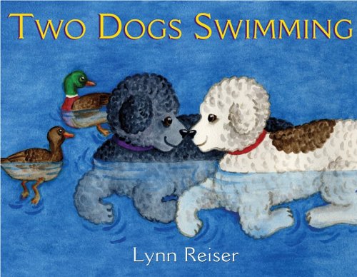 海外製絵本 知育 英語 Two Dogs Swimming
