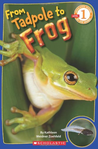 海外製絵本 知育 英語 From Tadpole to Frog (Scholastic Reader, Level 1)
