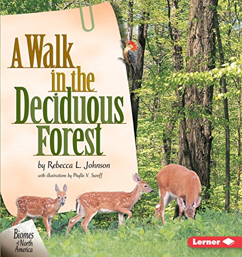 海外製絵本 知育 英語 A Walk in the Deciduous Forest (Biomes of North America)