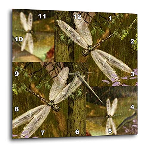 壁掛け時計 インテリア 海外モデル 3dRose Dragonflies Graphic Design Dragonflies - Wall Clock, 10
