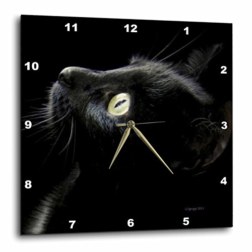 壁掛け時計 インテリア 海外モデル 3dRose DPP_23822_2 Black Cat Face-Wall Clock, 13 by 13-Inch