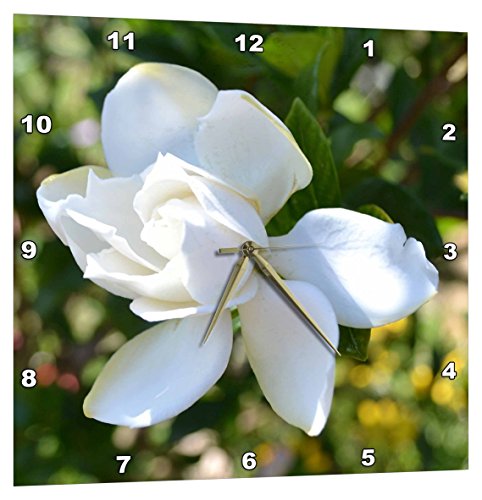 壁掛け時計 インテリア 海外モデル 3dRose Natures Expression of A Gardenia - Wall Clock, 15 by 15