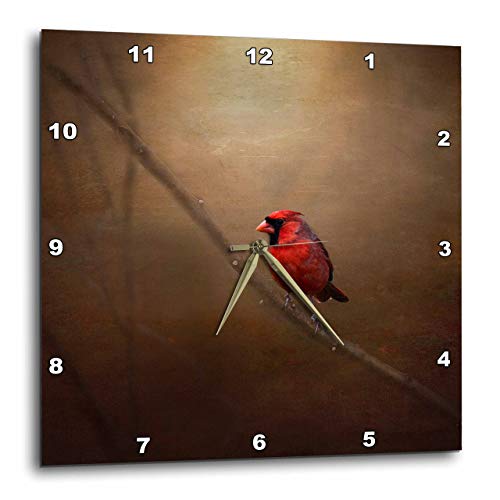 壁掛け時計 インテリア 海外モデル 3dRose DPP_53842_3 Cardinal Fine Art Decor-Wall Clock, 15 by 1