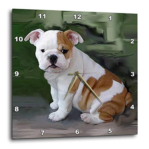 壁掛け時計 インテリア 海外モデル 3dRose British Bulldog Puppy - Wall Clock, 10 by 10-Inch (DPP_