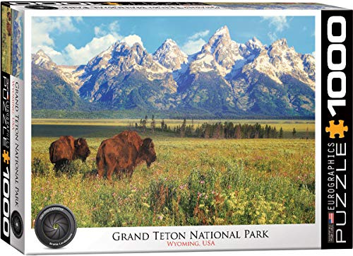 ジグソーパズル 海外製 アメリカ EuroGraphics Grand Teton National Park Photography by Steve Hinch