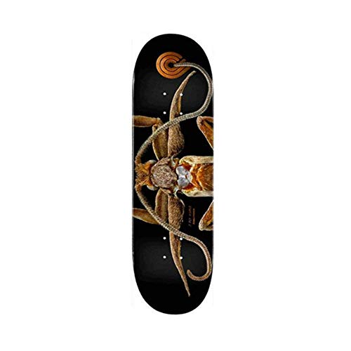 デッキ スケボー スケートボード Powell-Peralta Skateboard Deck Biss Marion Moth 8.25 x 31.95