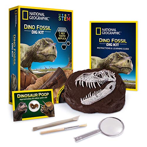 ナショナルジオグラフィック 知育玩具 科学 NATIONAL GEOGRAPHIC Dino Fossil Dig Kit - Dig Up a