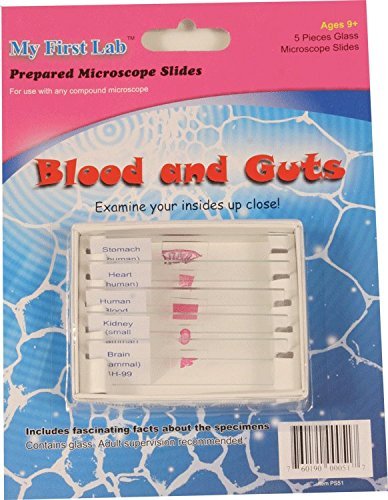 マイファーストラボ 知育玩具 科学 Microscope Prepared Slide Set - Blood & Guts (5 Slides)